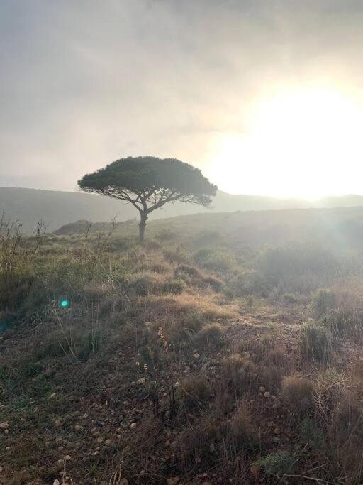 Willa La Casa De Ladrillo, Relax Y Trekking House. Murcja Zewnętrze zdjęcie